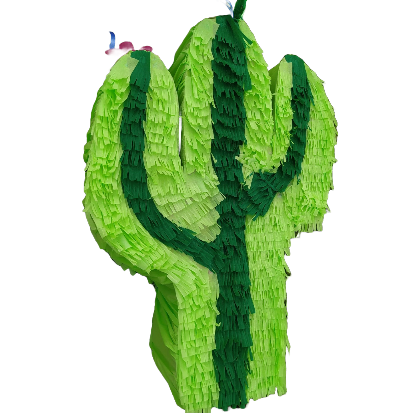 Cactus Pinata