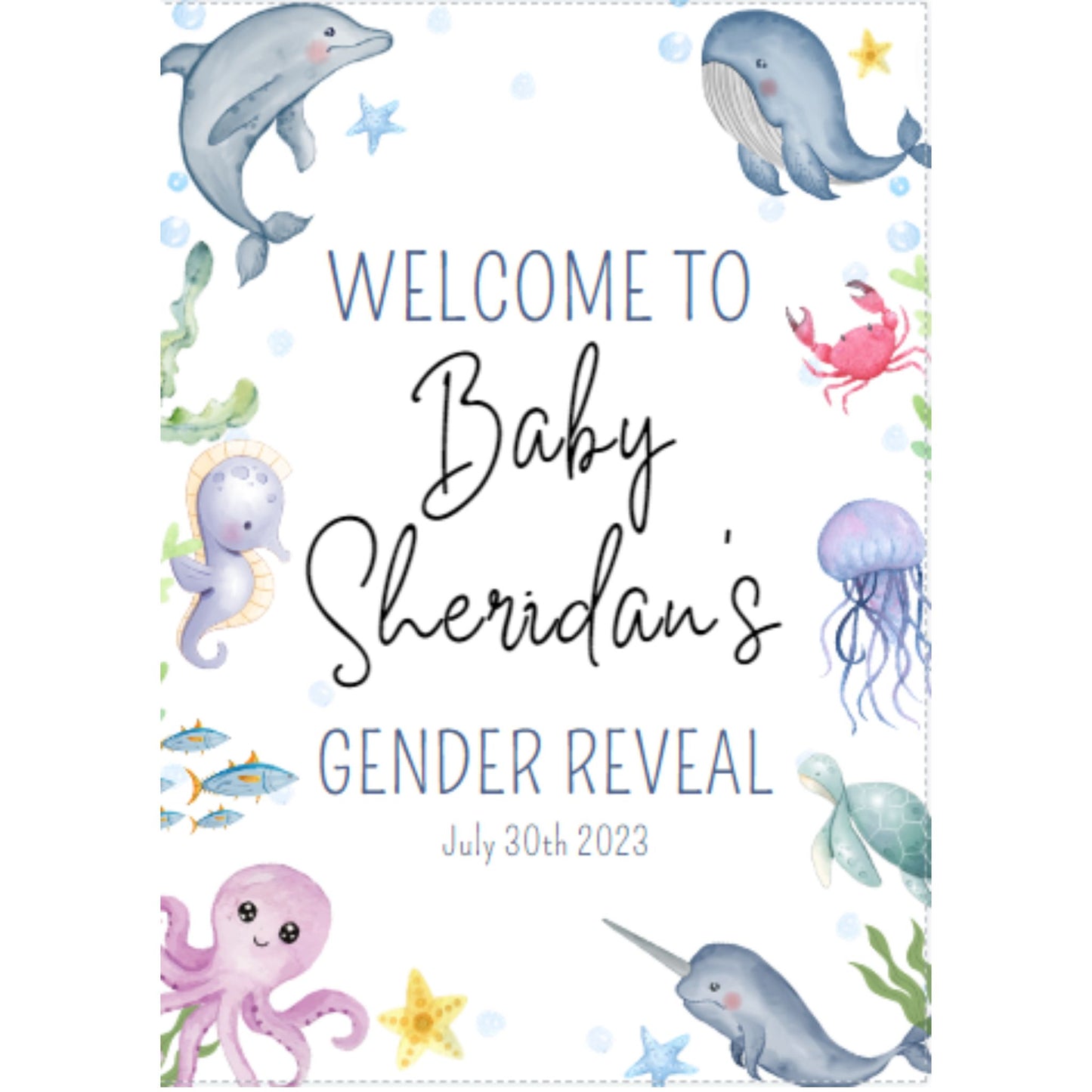 Gender Reveal Welcome Sign